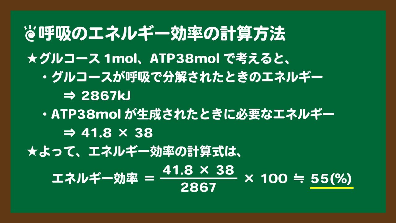 スライド8:呼吸のエネルギー効率の計算方法