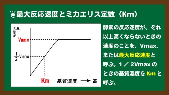 スライド3:最大反応速度とミカエリス定数(Km)