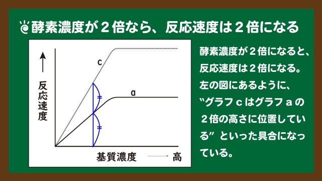 スライド7:酵素濃度が2倍なら反応速度は2倍になる