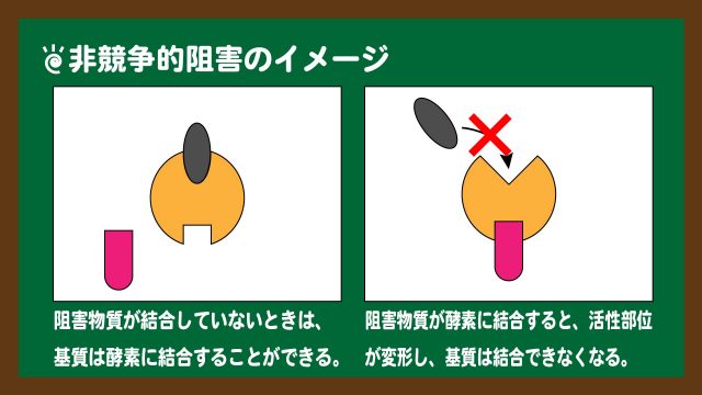 スライド11:非競争的阻害の基本
