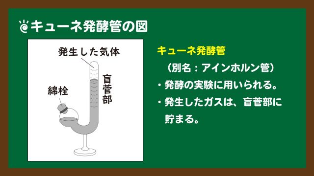 スライド３：キューネ発酵管の図