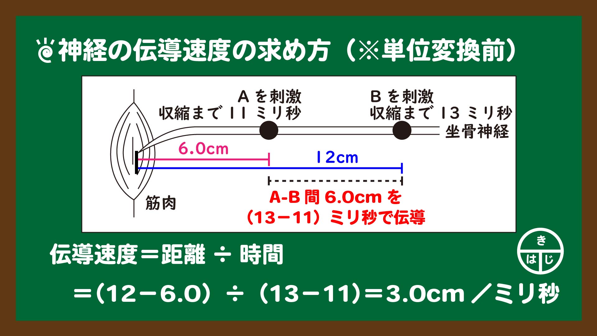 高校生物 神経の伝導速度 伝達時間などの計算問題の解き方を解説 高校生物の学び舎 高校生物 神経の伝導速度 伝達時間などの計算問題の解き方を解説 高校生物の学び舎