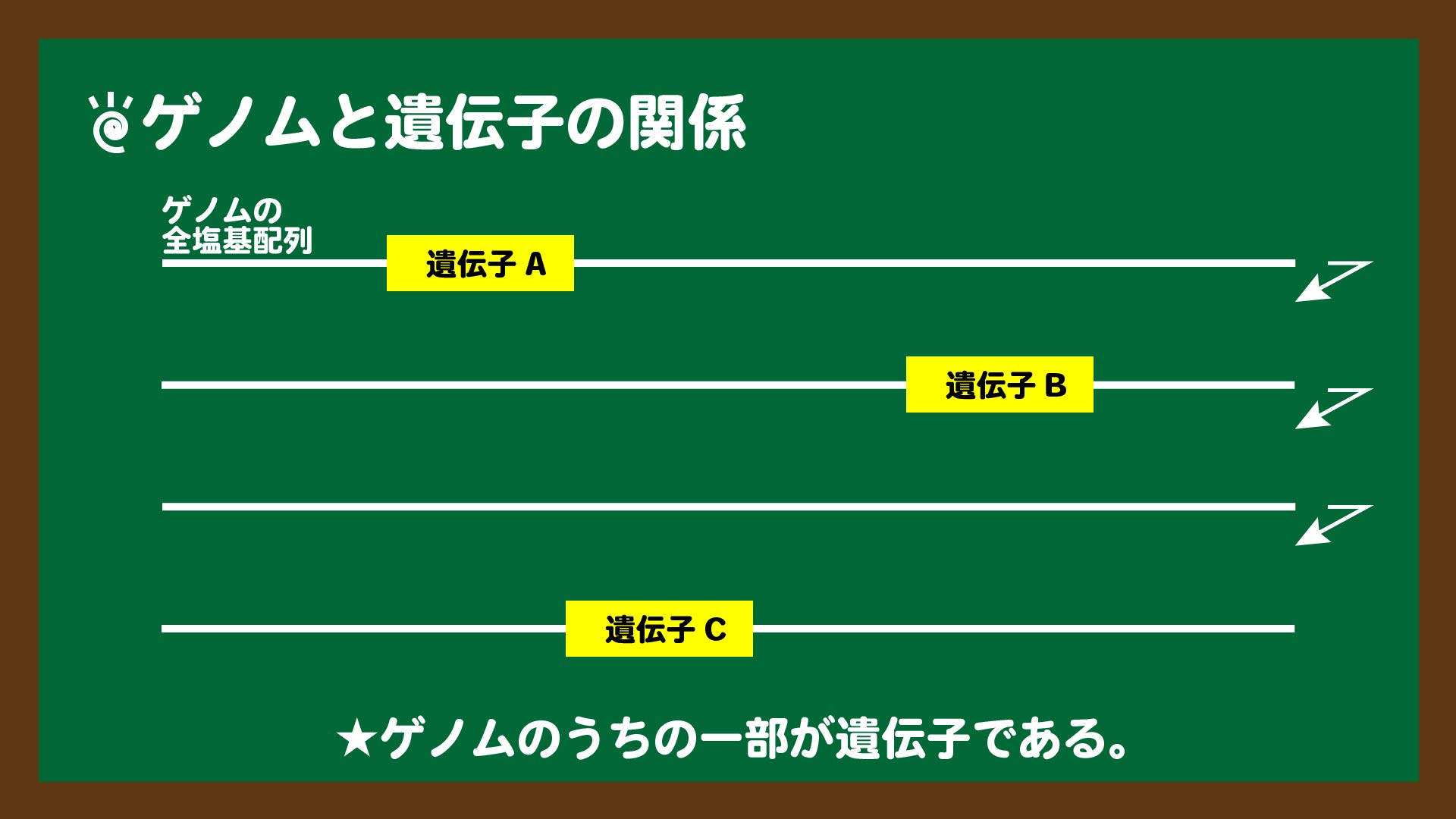 高校生物基礎」ゲノムとは？｜DNA・染色体・遺伝子との違い