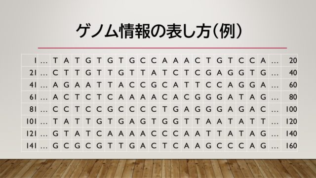 スライド１：ゲノム情報の表し方（例）